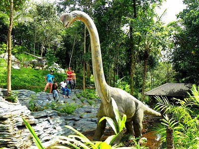 Silent Planet Resort Gallery Image 4